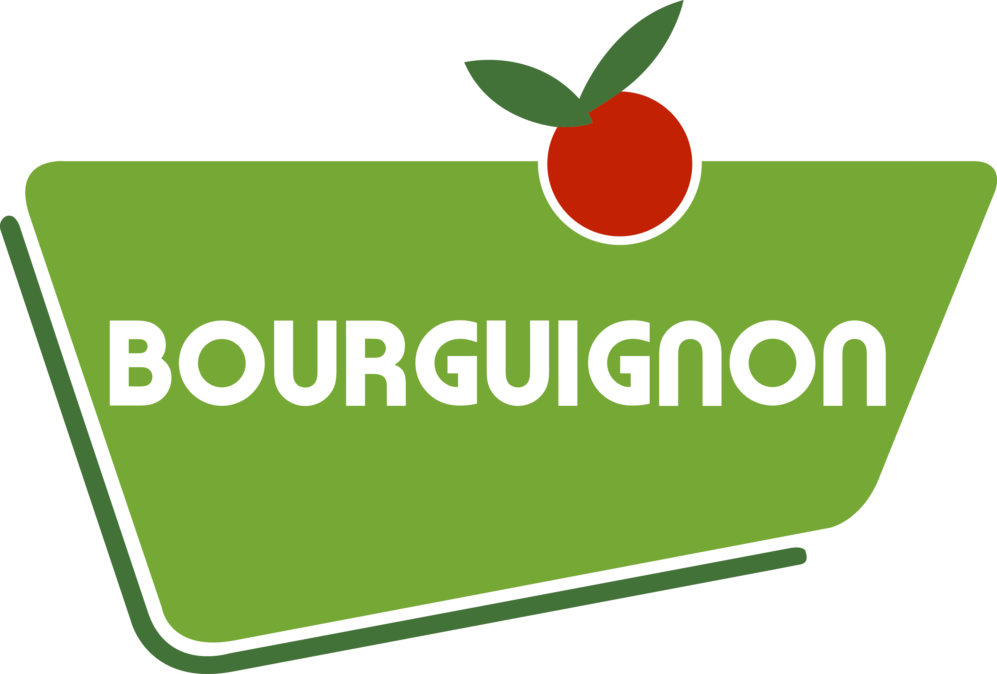 BOURGUIGNON