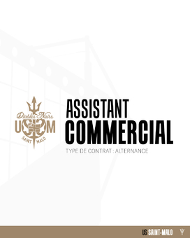 LINKEDIN TEMPLATE OFFRE copie
