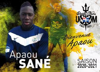 Sané